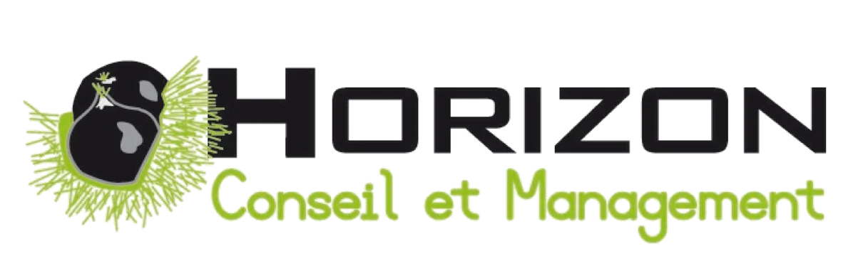 Horizon Conseil et Management