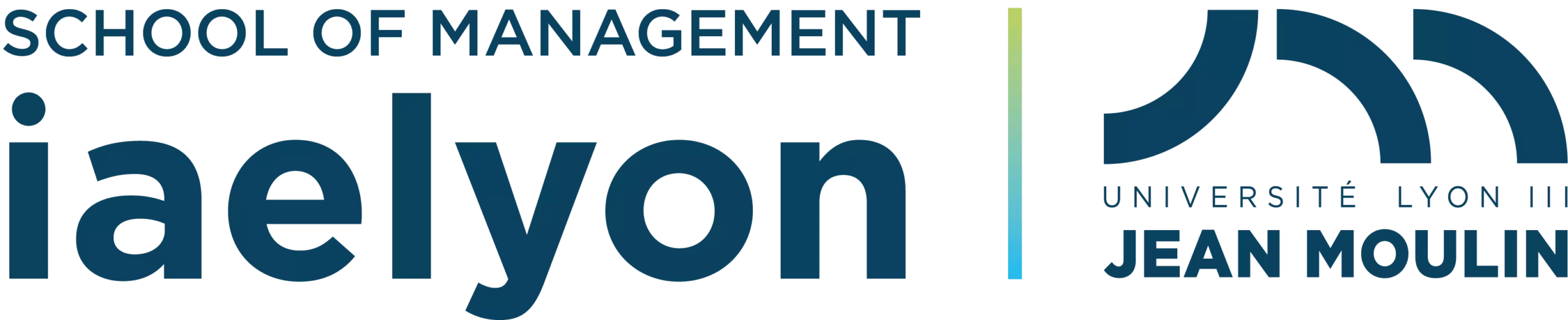 iae lyon