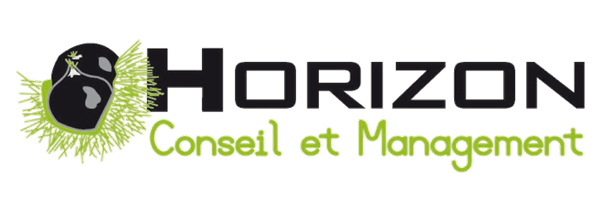 Horizon-Conseil-et-Management
